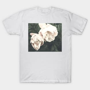 Peony fading T-Shirt